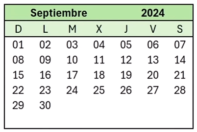 Vista general del calendario dinámico en Excel